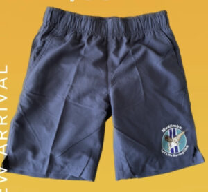 Mudjimba board shorts